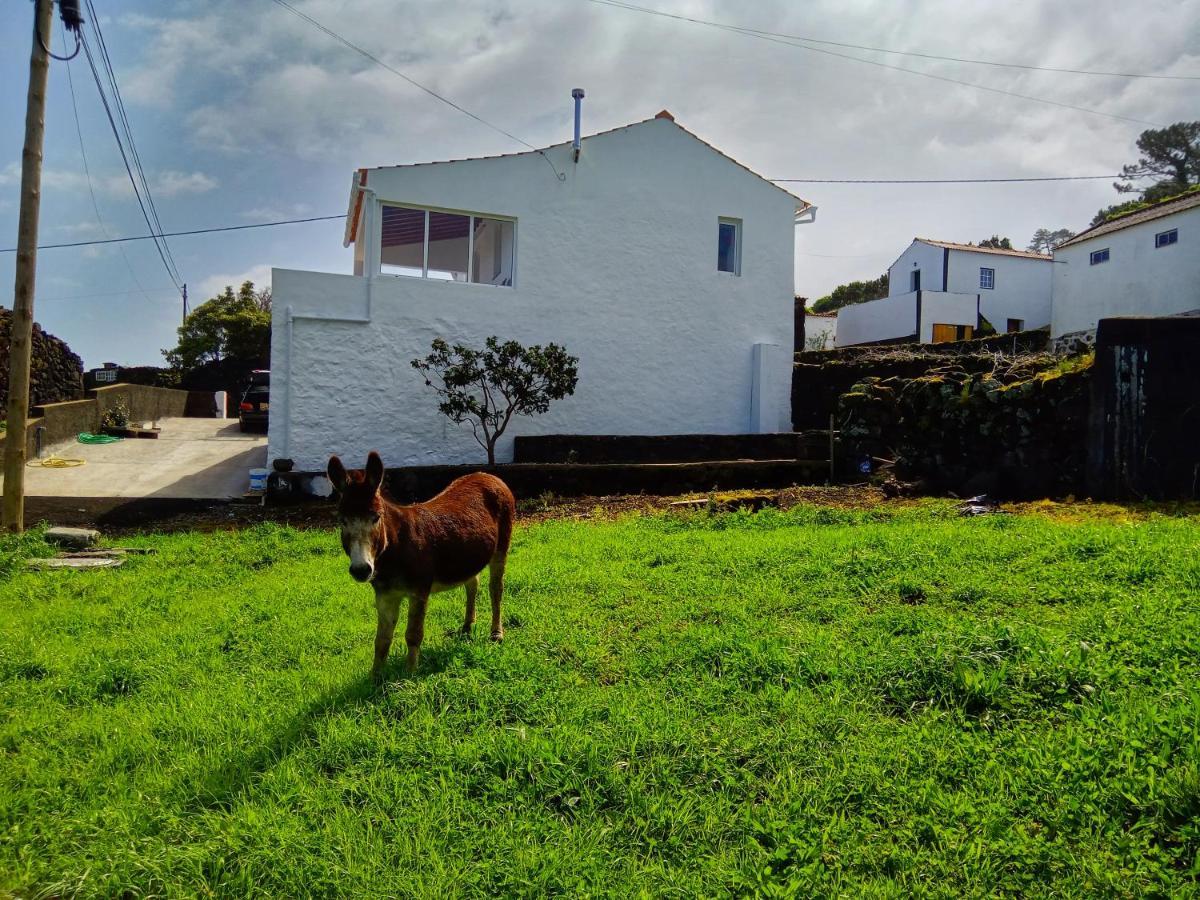 São Roque do Pico Casa Do Marcelino Lagartoヴィラ エクステリア 写真
