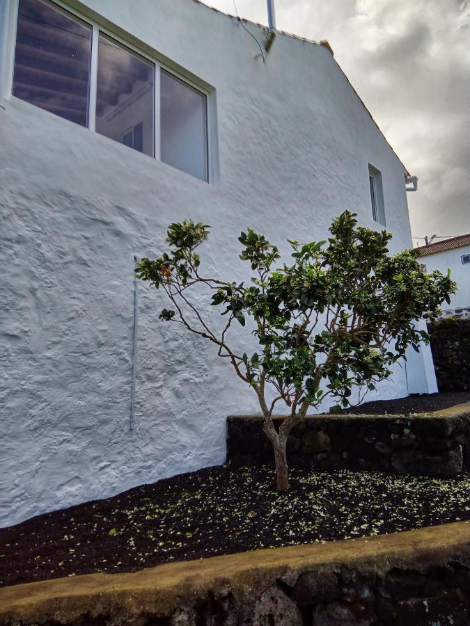 São Roque do Pico Casa Do Marcelino Lagartoヴィラ エクステリア 写真