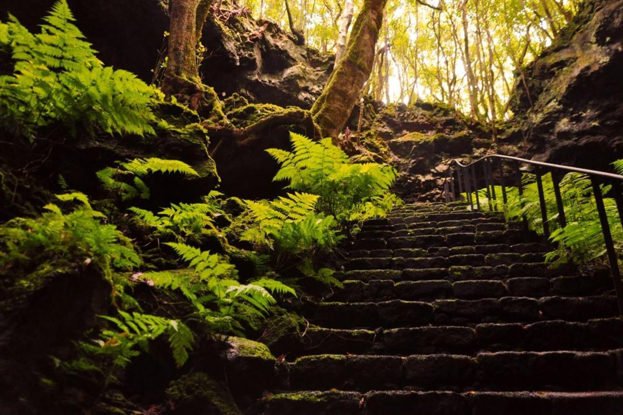 São Roque do Pico Casa Do Marcelino Lagartoヴィラ エクステリア 写真