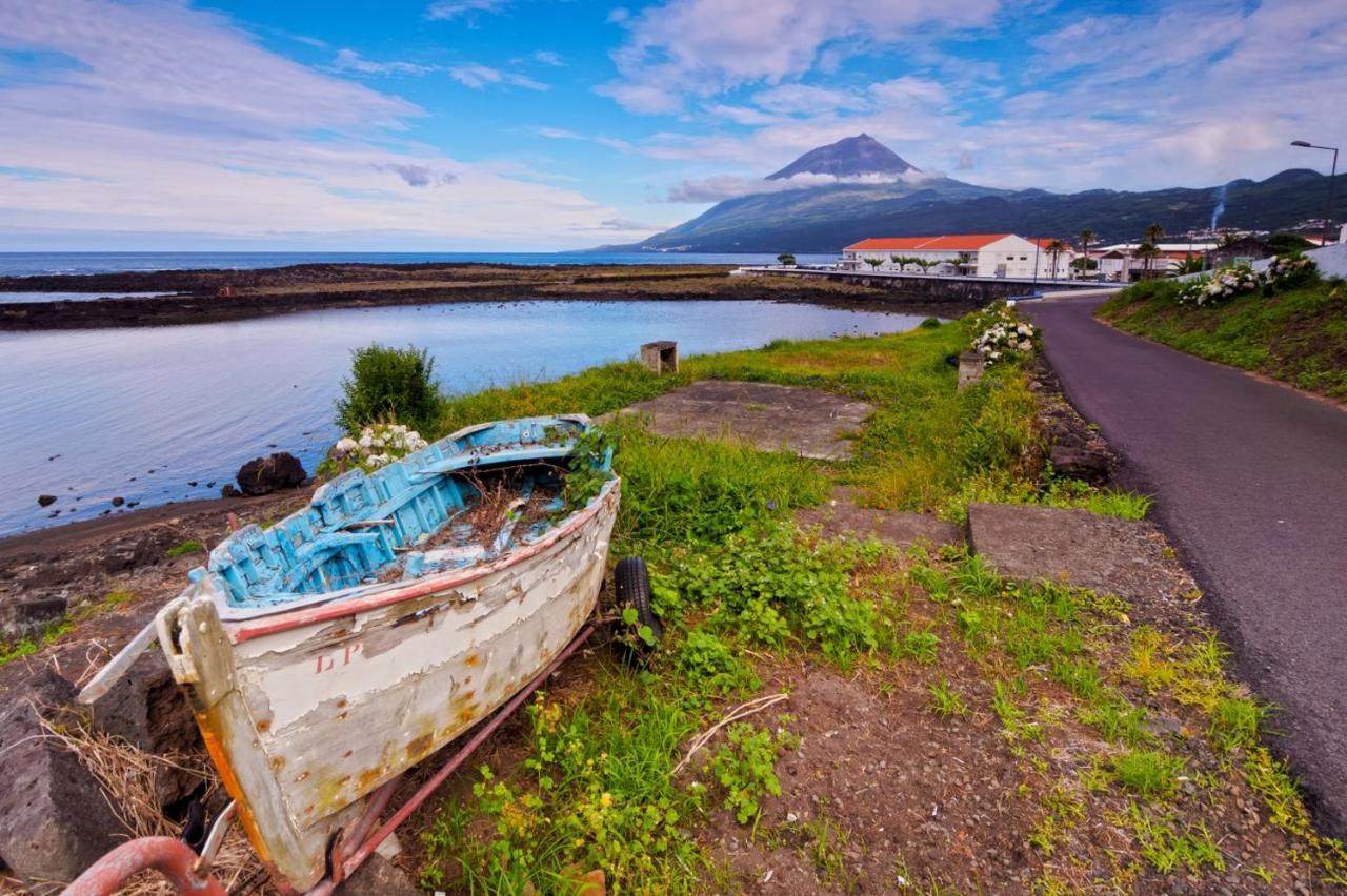 São Roque do Pico Casa Do Marcelino Lagartoヴィラ エクステリア 写真