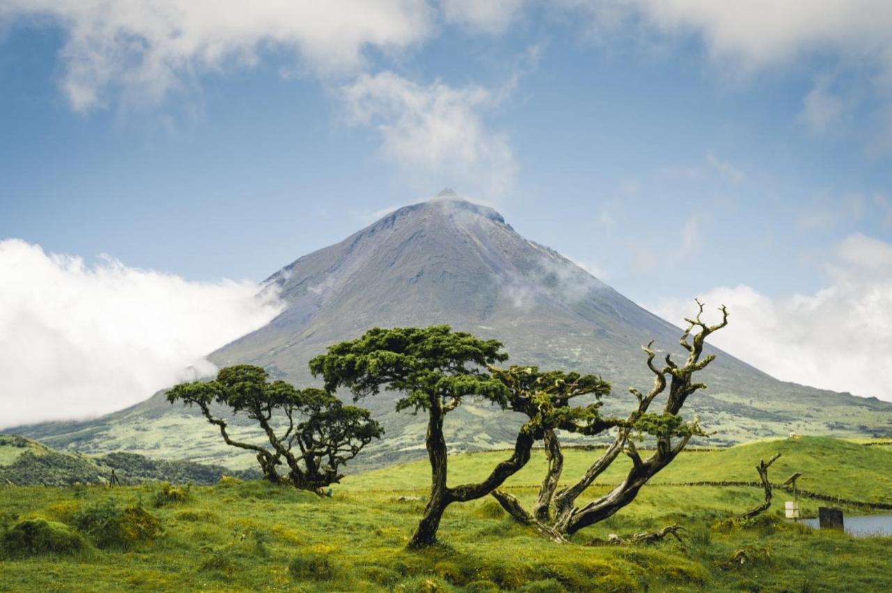 São Roque do Pico Casa Do Marcelino Lagartoヴィラ エクステリア 写真
