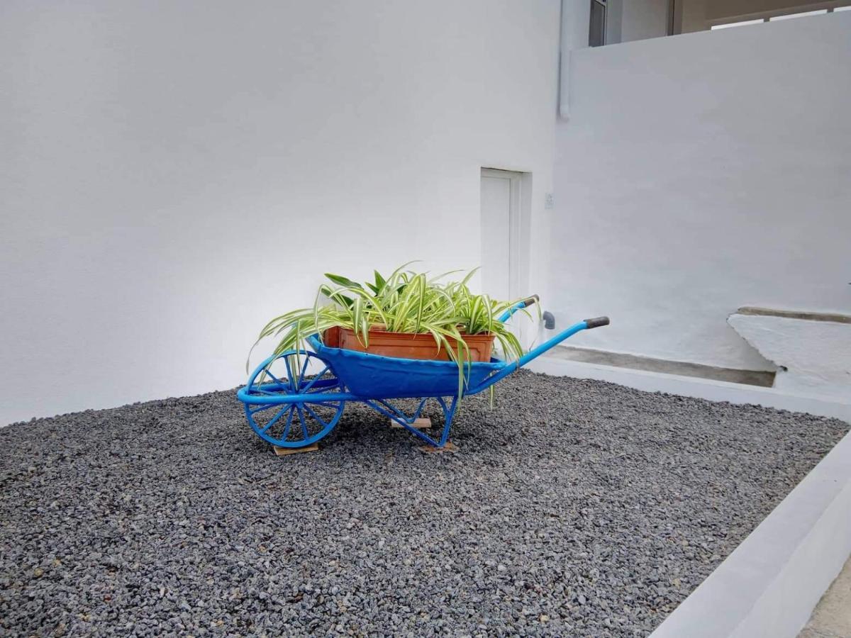 São Roque do Pico Casa Do Marcelino Lagartoヴィラ エクステリア 写真